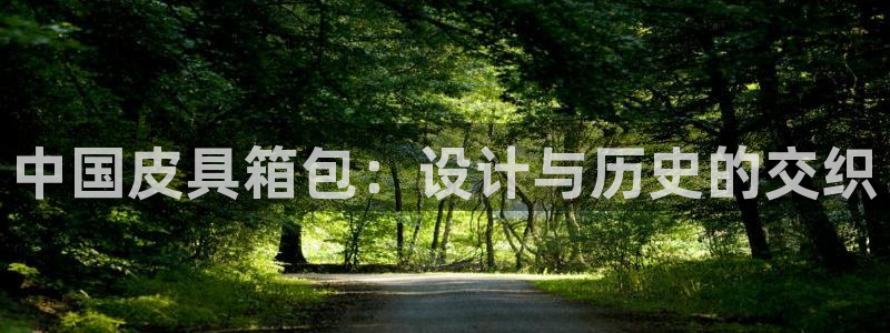 辉达娱乐分红