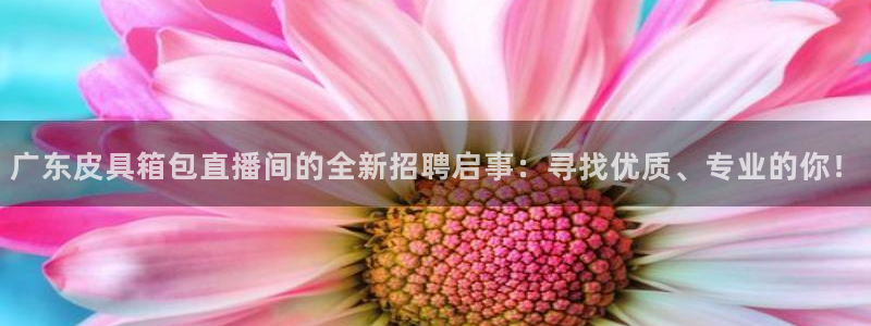 辉达娱乐属于什么档次