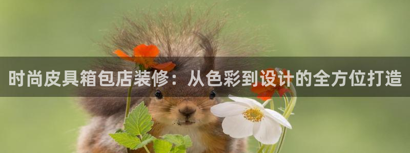 辉达娱乐待遇