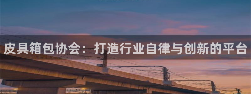 辉达怎么样