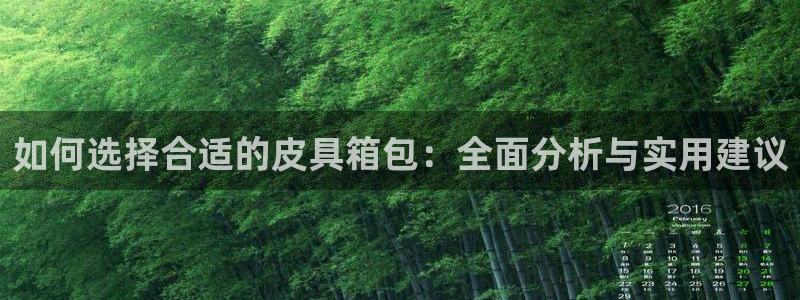 辉达平台娱乐怎么样