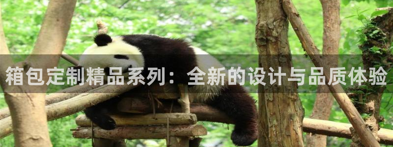 辉达娱乐己39444