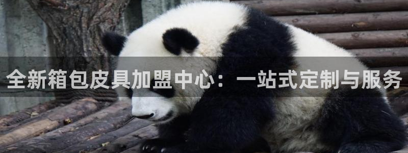 辉达娱乐ag游戏平台