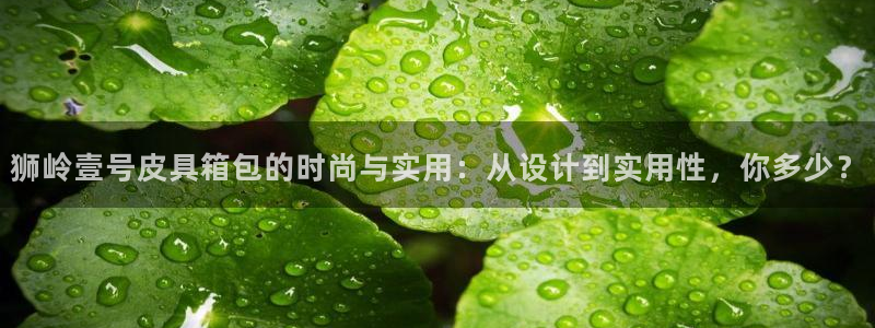 辉达娱乐游戏.直开.中国