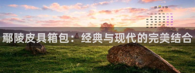辉达娱乐属于什么档次
