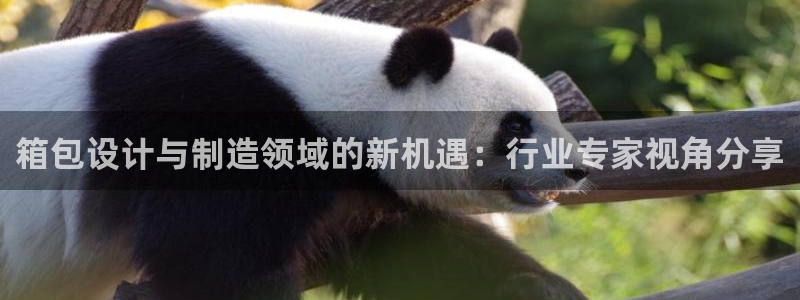 辉达娱乐最新消息新闻