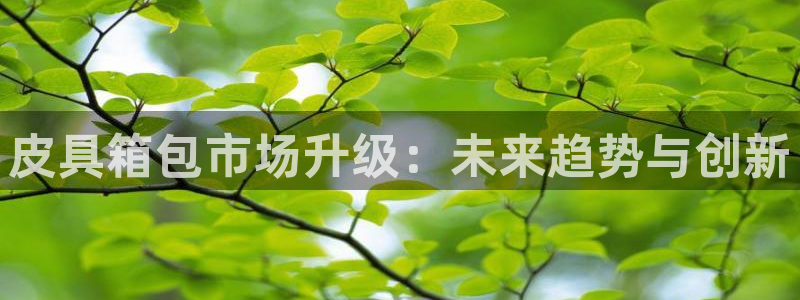辉达娱乐招商