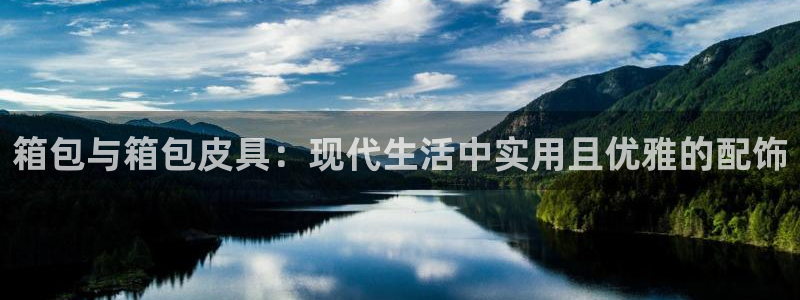 辉达娱乐电子