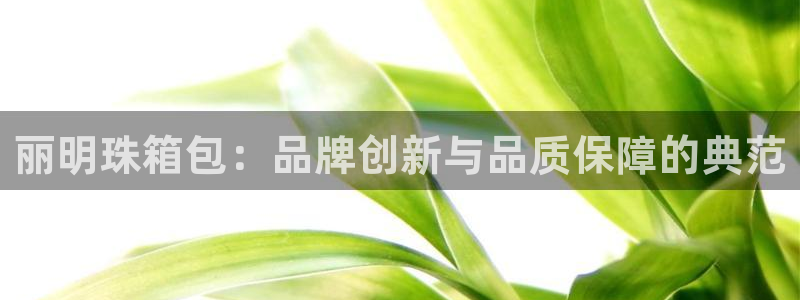 辉达娱乐多少年