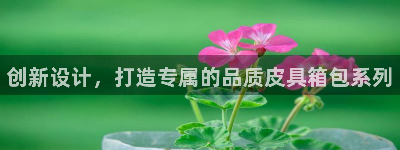 辉达平台官网下载