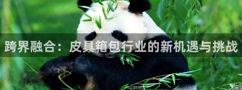 辉达娱乐丶39444