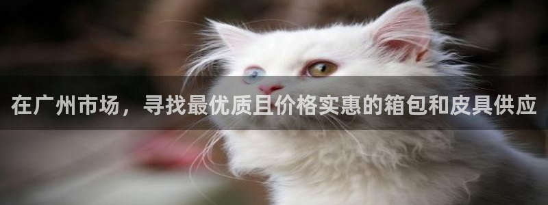 代理辉达娱乐官方网址