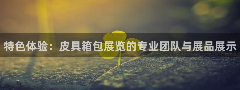 辉达娱乐衤39444