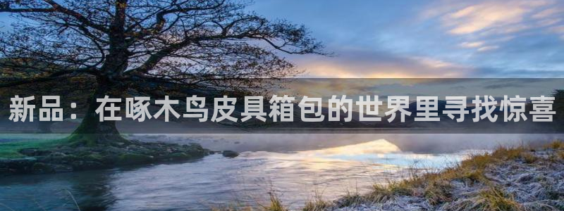 辉达娱乐彳75775