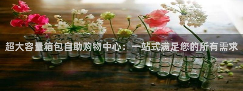 达利娱乐王辉