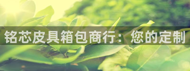 辉达娱乐官方网址