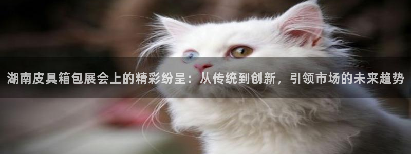 辉达娱乐丿75505