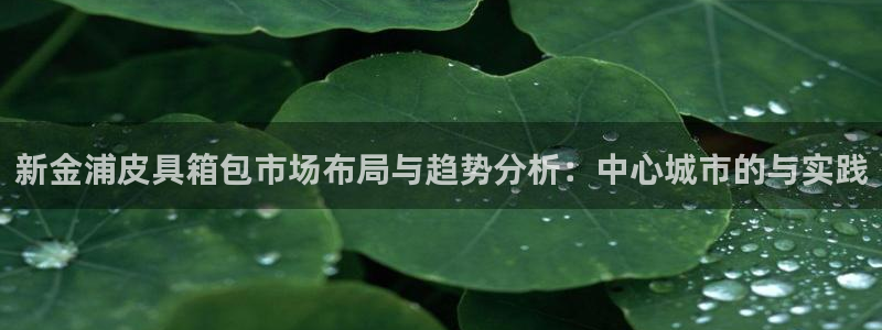 辉达娱乐app