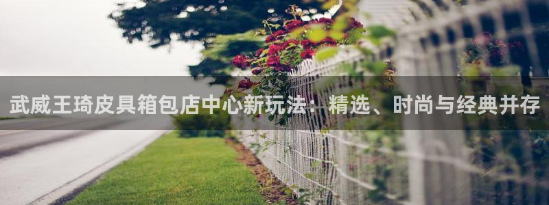 辉达娱乐彳75775