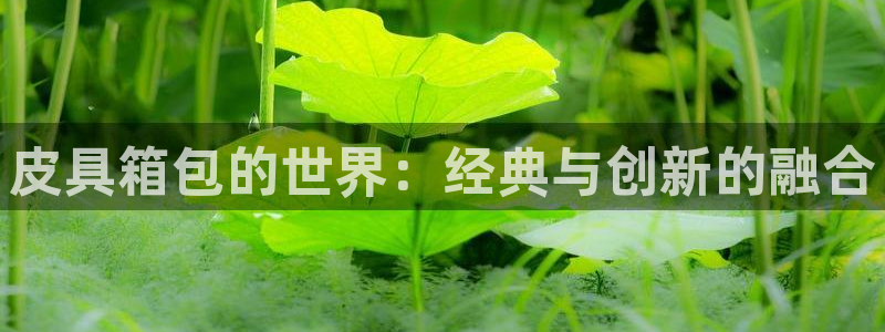 辉达集团官方网站