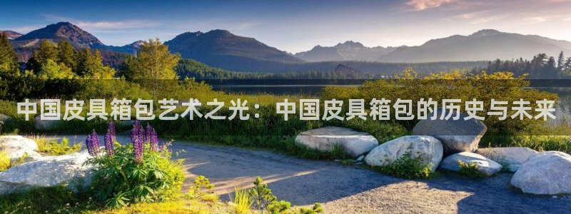 辉达娱乐