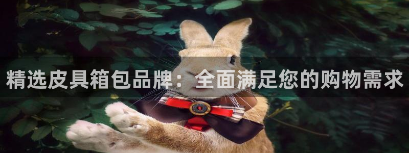 辉达娱乐加扣75775