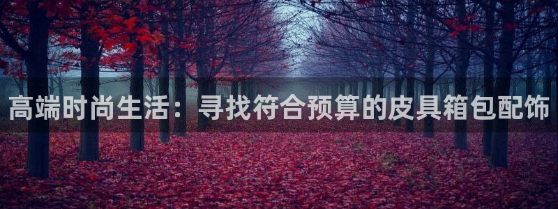 辉达娱乐多少年