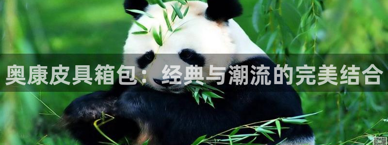 辉达娱乐加q75775稳定