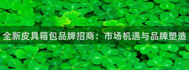 专业辉达娱乐官方网址