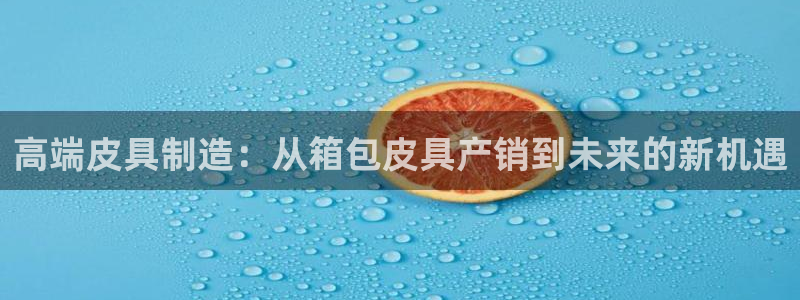 信誉辉达娱乐在线游戏