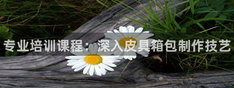 辉达娱乐加q75775稳定