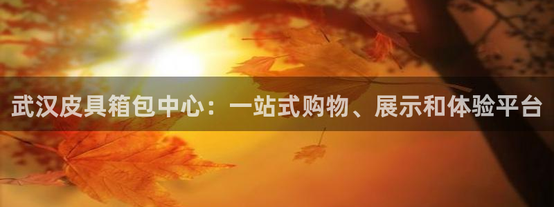 辉达娱乐游戏.直开.中国