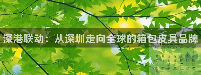 达利娱乐王辉