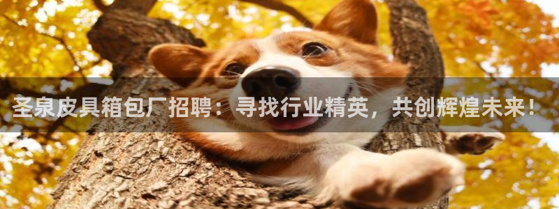 辉达娱乐衤39444