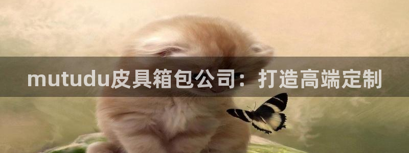 辉达娱乐己75505