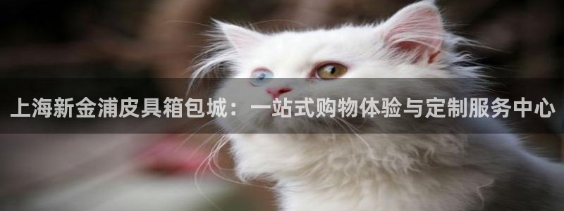 达娱乐辉70667