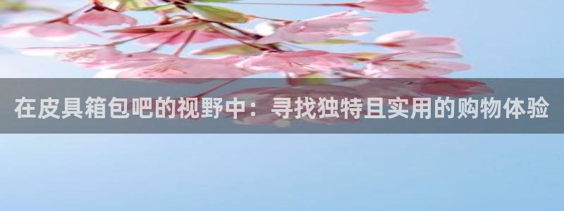 辉达娱乐平台