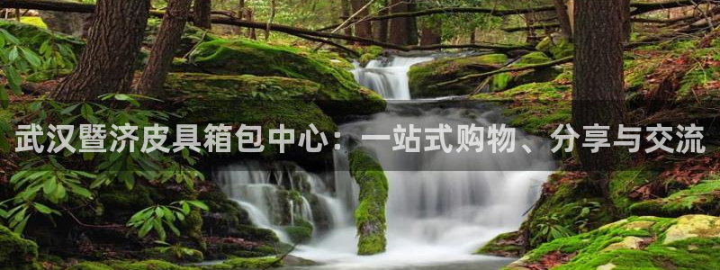正规辉达娱乐