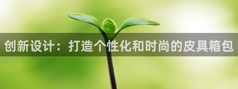 辉达怎么样