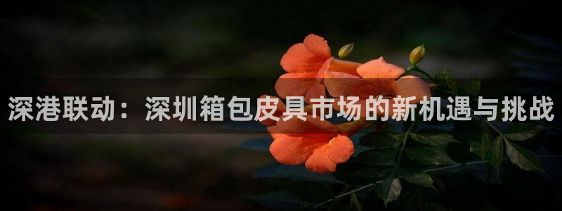 辉达娱乐