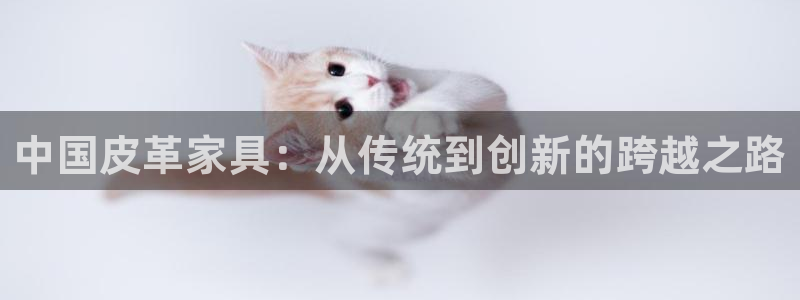 辉达娱乐ag游戏平台