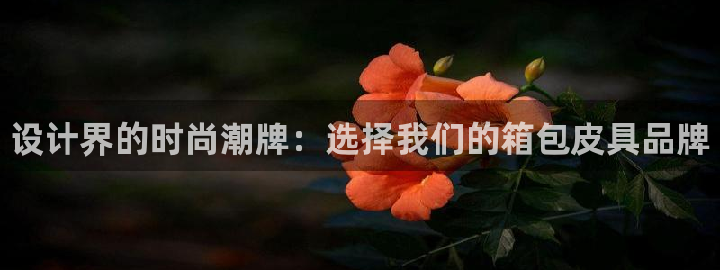 辉达娱乐公司