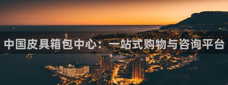 龙腾辉达电子娱乐