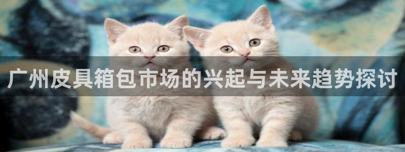 辉达娱乐加扣75775