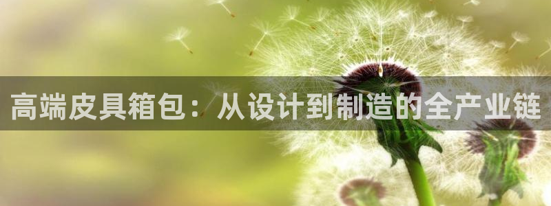 辉达娱乐属于什么档次