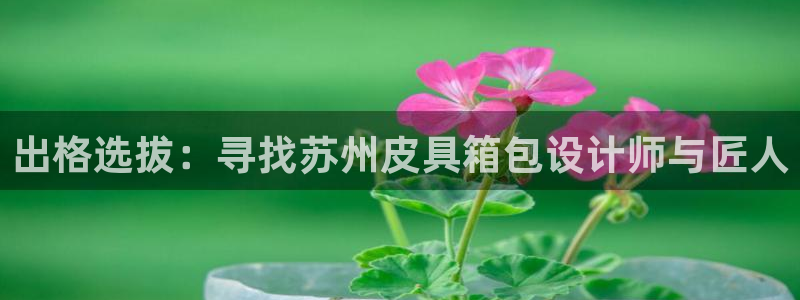 辉达娱乐下载
