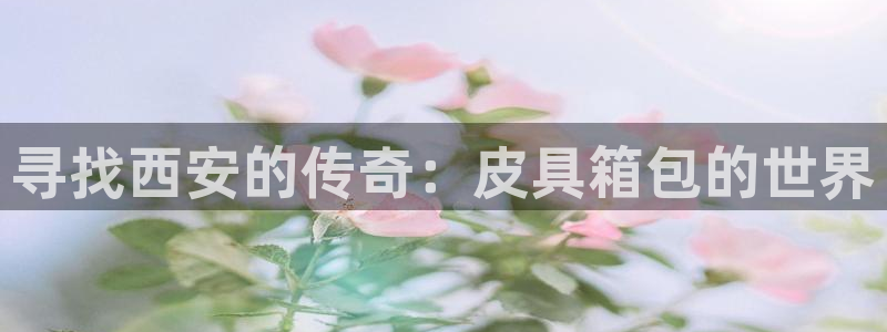 辉达娱乐线路检测