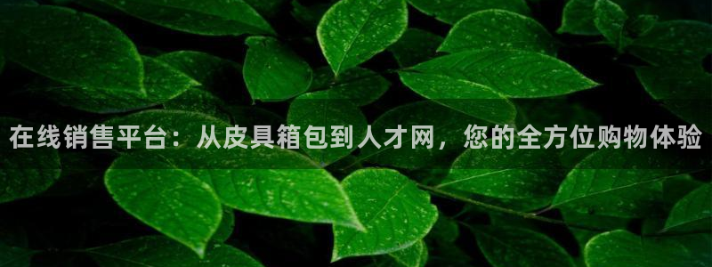 辉达娱乐五75505