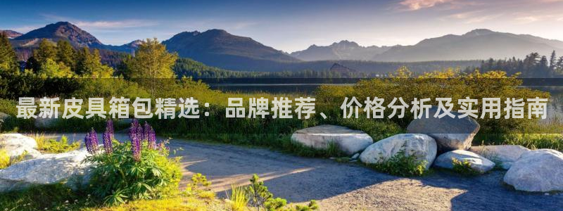 辉达娱乐时时彩平台