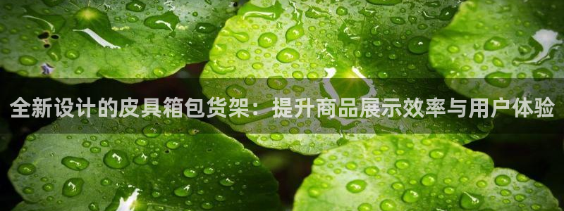 辉达怎么样
